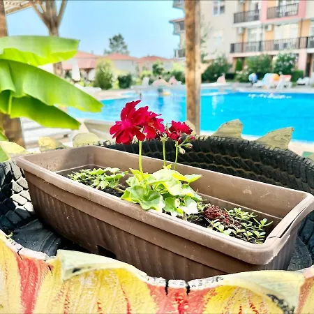 Chateau 2 - Menada *