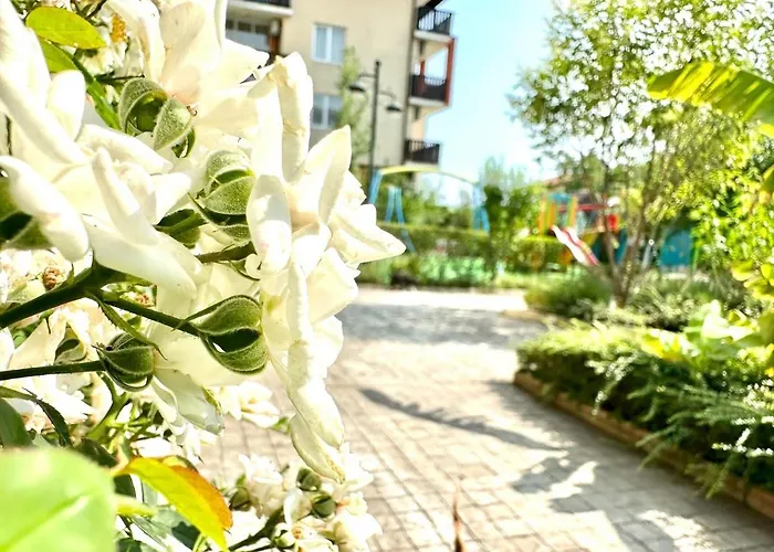 Chateau 2 - Menada *