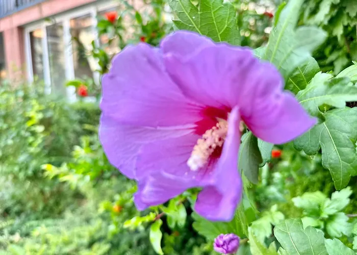 Chateau 2 - Menada Apartamento