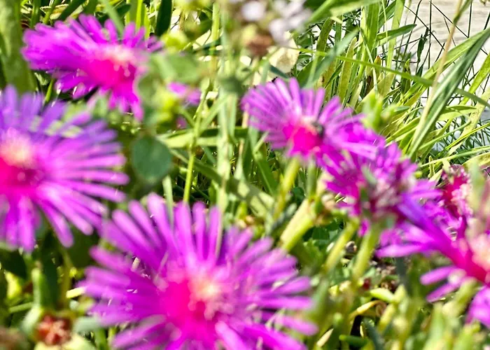 Chateau 2 - Menada Apartamento