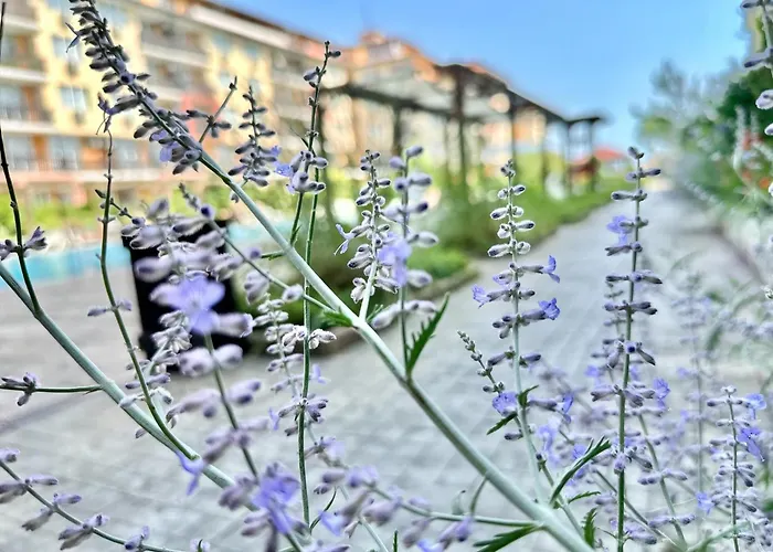 Apartamento Chateau 2 - Menada Aheloy