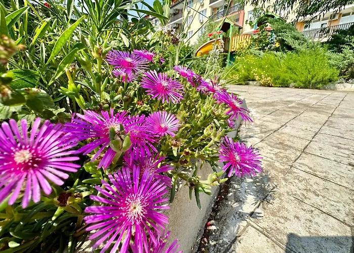 Apartamento Chateau 2 - Menada Aheloy