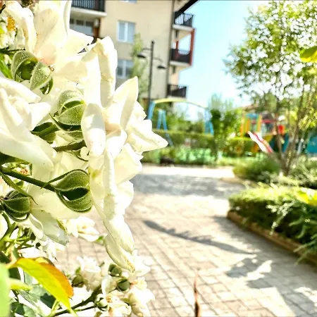 Chateau 2 - Menada *