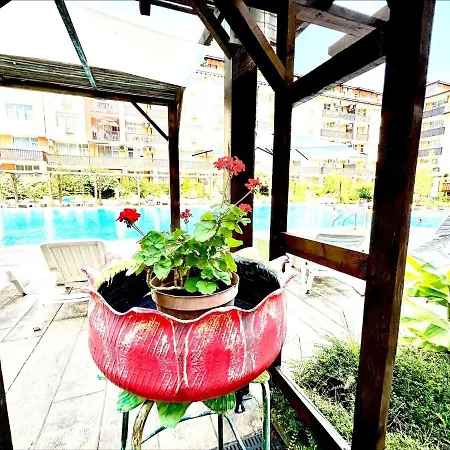 Chateau 2 - Menada * 아헬로이