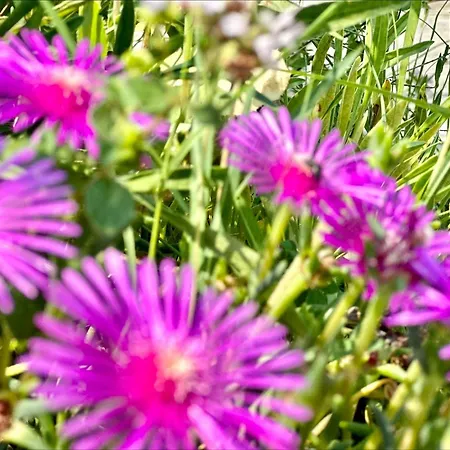 Chateau 2 - Menada Apartment