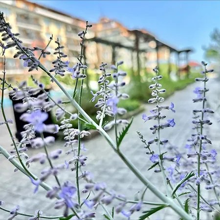 Apartament Chateau 2 - Menada Aheloy