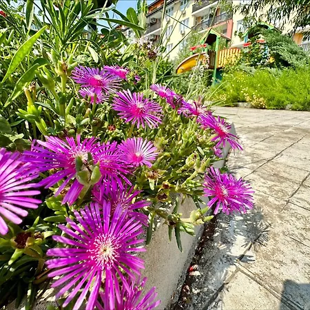 Apartment Chateau 2 - Menada Aheloy